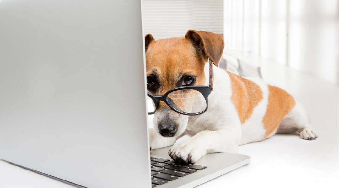 Rise of Google Experts Will Portcullis Legals Wills Advice